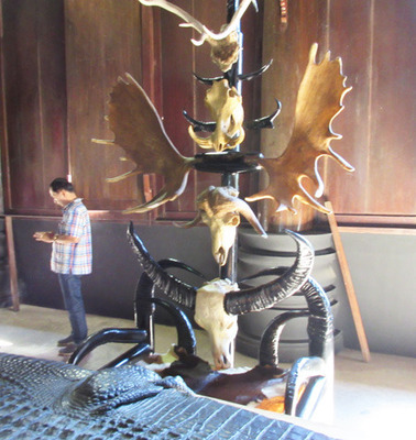 IMG_4445.jpg