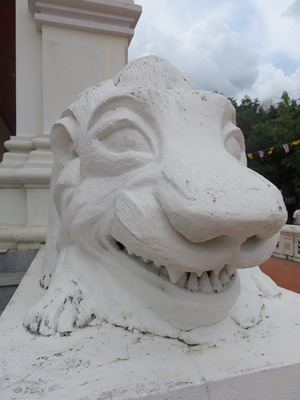 IMG_4467.jpg