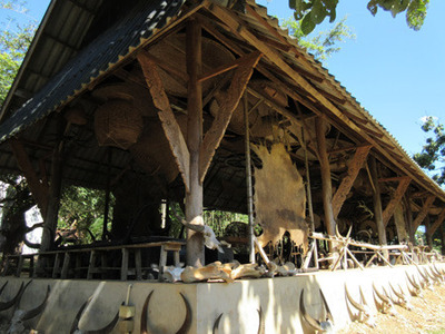 IMG_4483.jpg