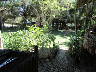 IMG_4651.jpg