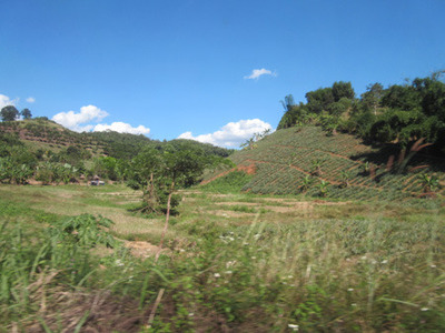 IMG_4667.jpg