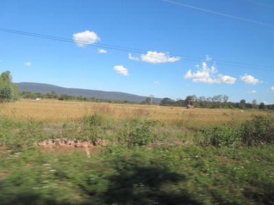 IMG_4669.jpg