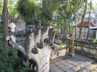 IMG_4691.jpg