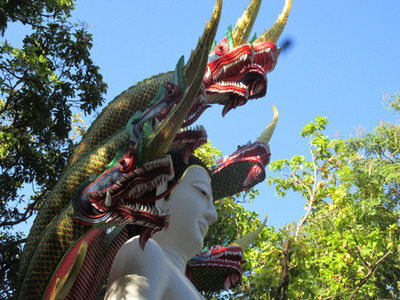 IMG_4698.jpg