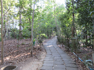 IMG_4730.jpg