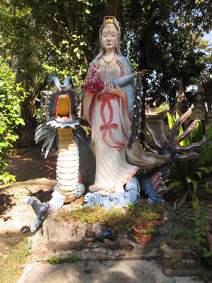 IMG_4860.jpg