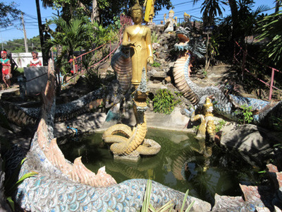 IMG_4863.jpg