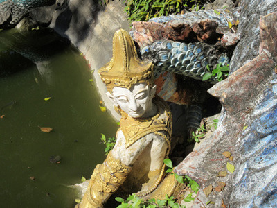 IMG_4897.jpg