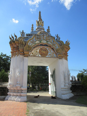 IMG_4969.jpg