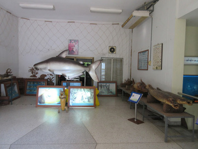 IMG_5000.jpg
