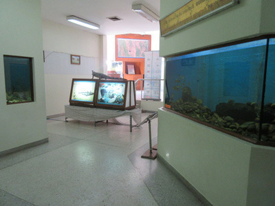 IMG_5001.jpg