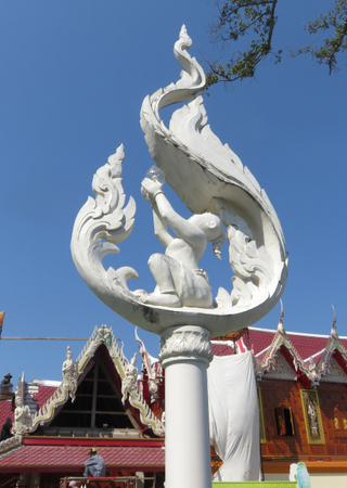 IMG_5462.jpg