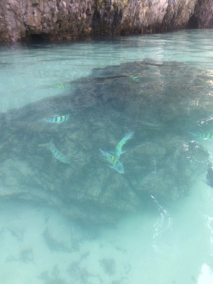 IMG_5820.jpg