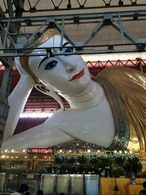 IMG_6198.jpg