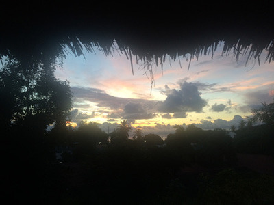 IMG_6399.jpg