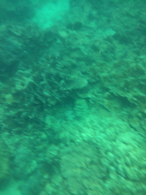 IMG_6470.jpg