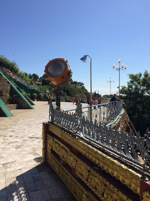 IMG_6487.jpg