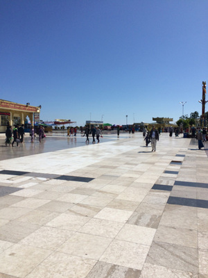 IMG_6497.jpg