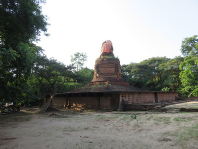 IMG_6665.jpg