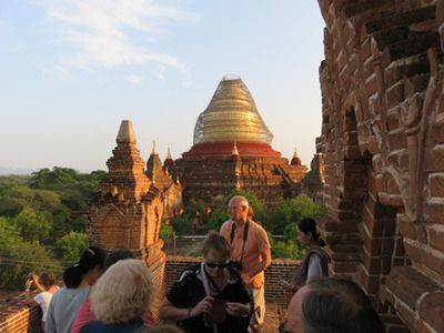 IMG_6698.jpg