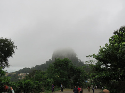 IMG_6770.jpg