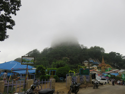 IMG_6773.jpg