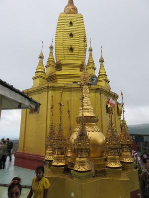 IMG_6845.jpg