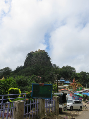 IMG_6877.jpg