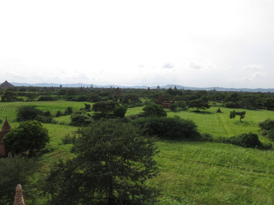 IMG_6926.jpg
