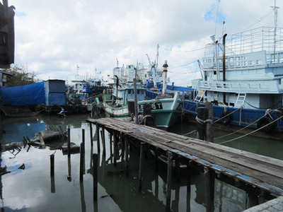 IMG_6951.jpg