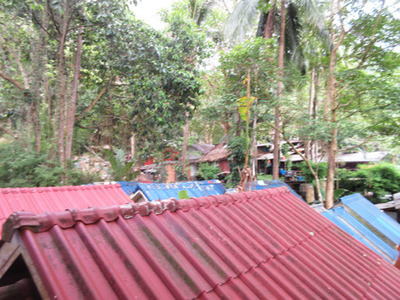 IMG_7063.jpg