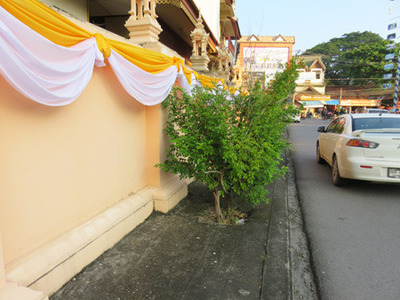 IMG_7220.jpg