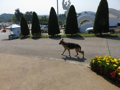 IMG_7291.jpg
