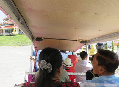 IMG_7333.jpg