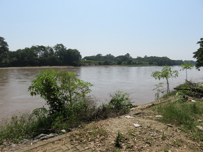 IMG_7373.jpg
