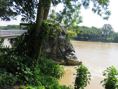 IMG_7377.jpg