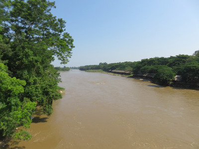 IMG_7382.jpg
