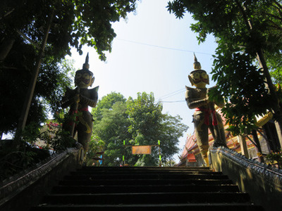 IMG_7418.jpg