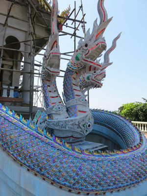 IMG_7423.jpg