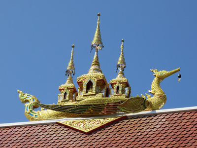 IMG_7426.jpg