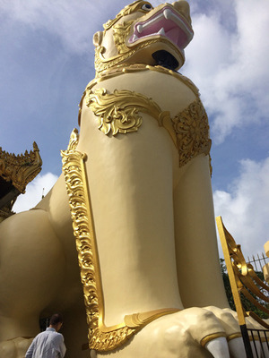 IMG_8663.jpg