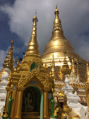 IMG_8668.jpg