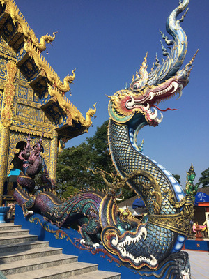 IMG_8781.jpg