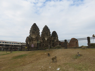 IMG_9492.jpg