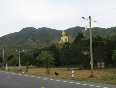 IMG_9510.jpg