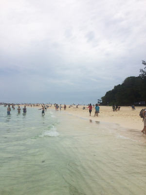 IMG_9783.jpg