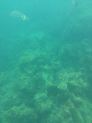 IMG_9787.jpg