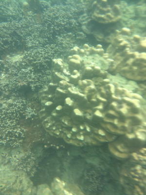 IMG_9889.jpg